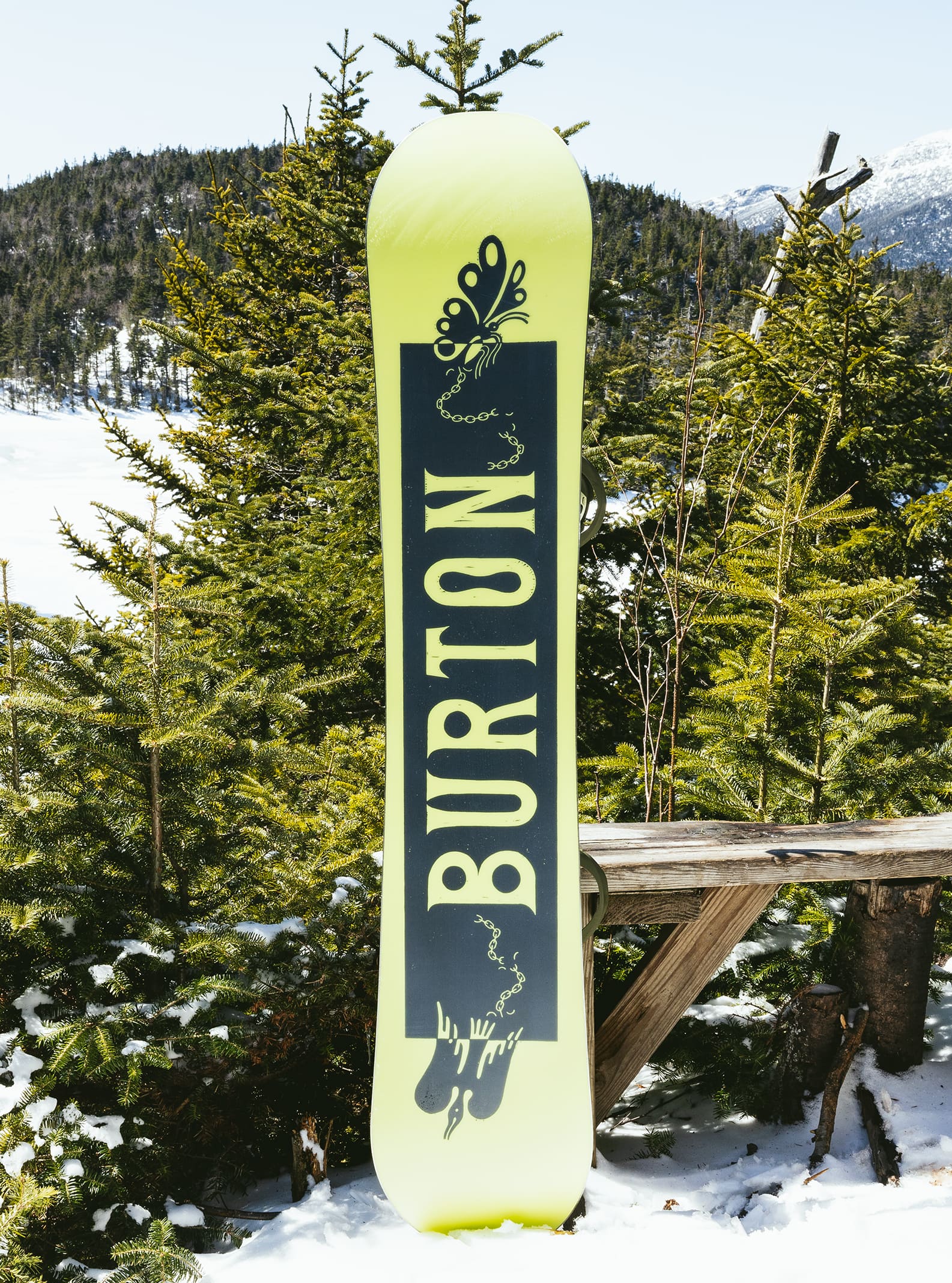 Women's Burton Talent Scout Camber Snowboard | Burton.com Winter 2022 US
