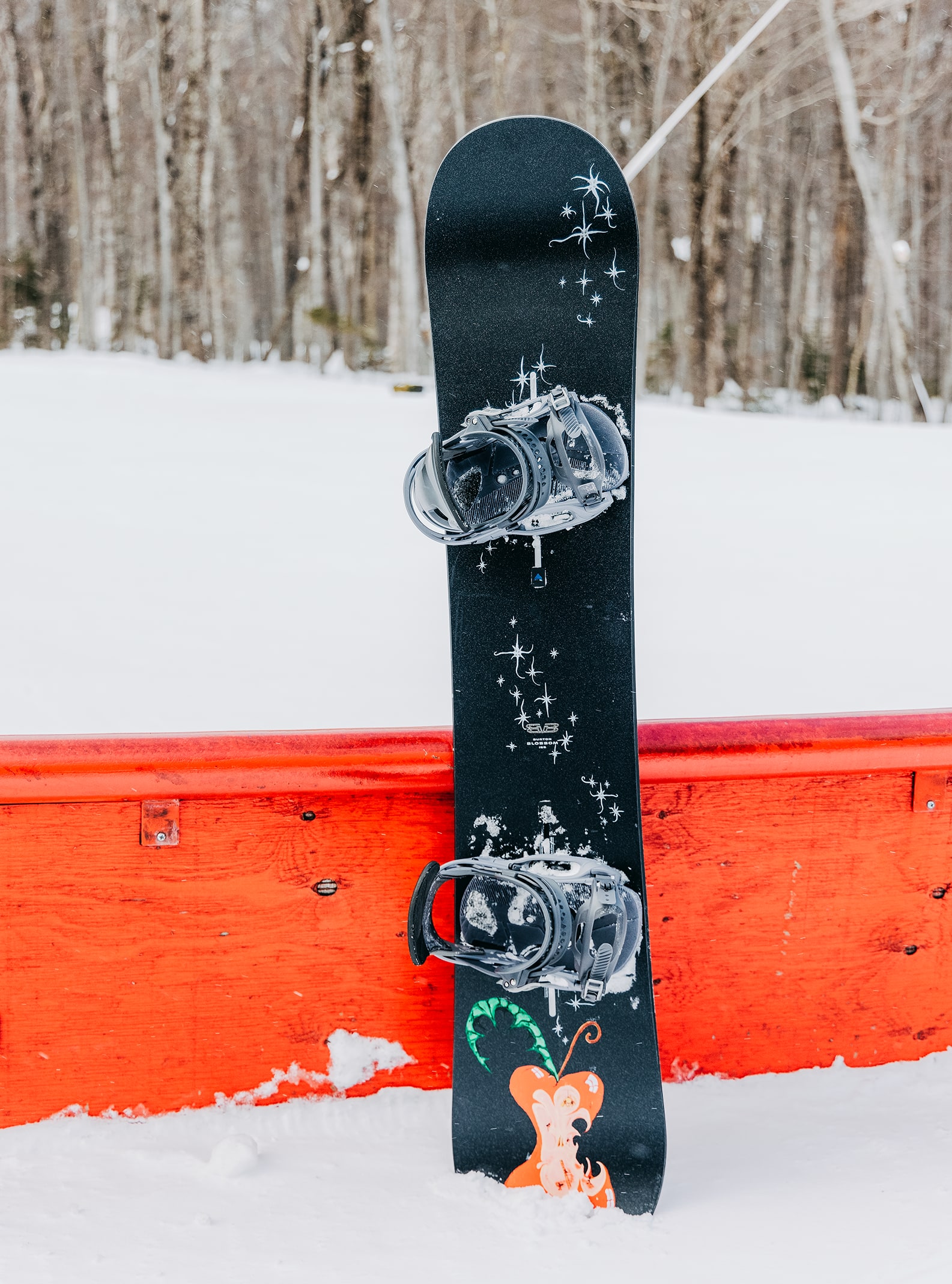 Blossom Camber Snowboard | Burton.com Winter 2023 US