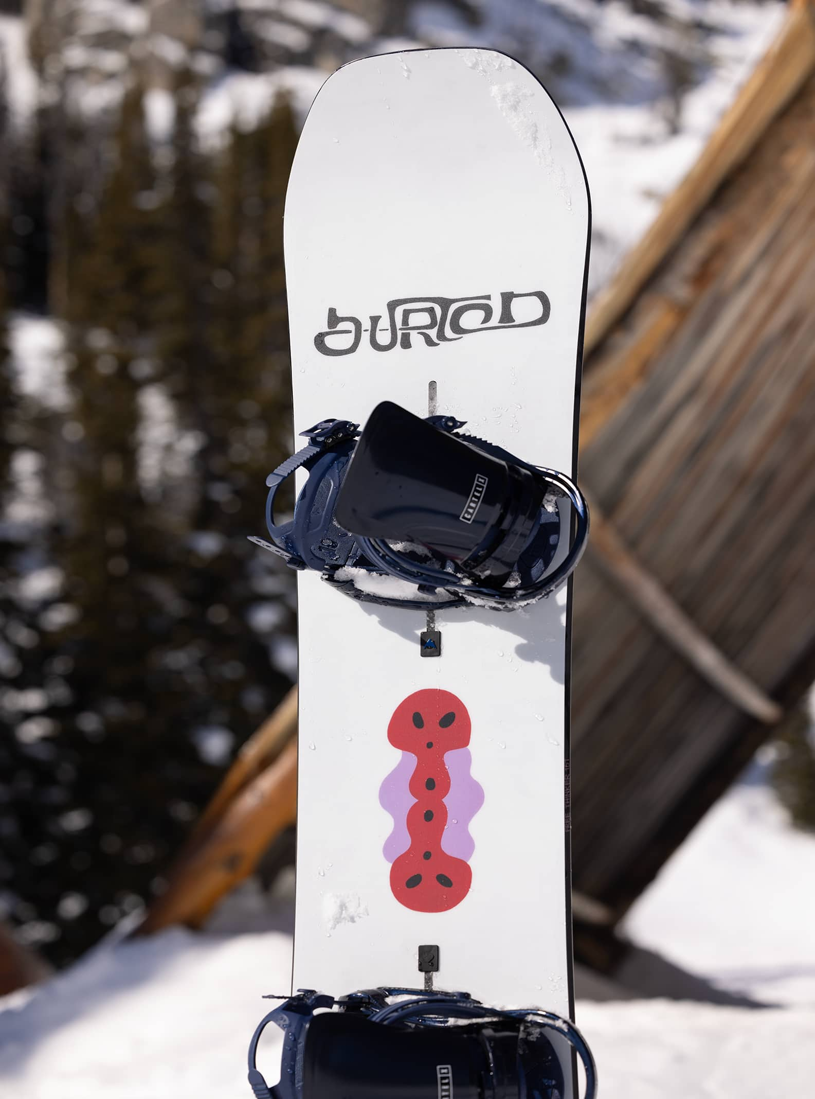 メンズ Burton フリーシンカー キャンバー スノーボード | Burton.com Winter 2025 JP